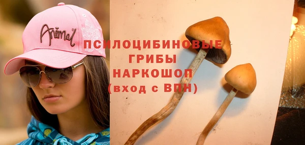 mdpv Алексеевка