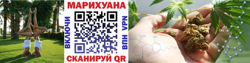 где купить наркоту  Алушта  Бошки Шишки Amnesia 